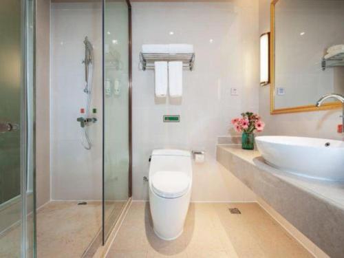 a bathroom with a toilet and a sink at Vienna Hotel Jiangxi Ji'an Yanjingfu in Ji'an