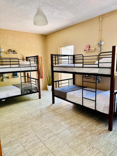 a room with three bunk beds in it at Casa Artemisa hostal in Guadalajara