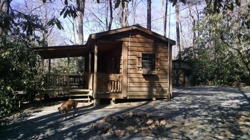 a small wooden cabin with a dog standing next to it at Linville Falls Campground, RV Park, and Cabins in Linville Falls