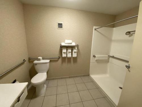 a bathroom with a toilet and a shower at Quality Inn in Geneseo