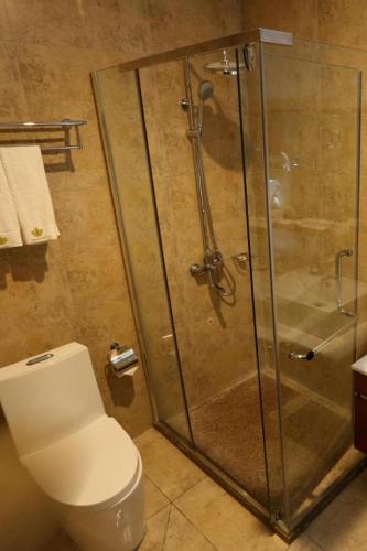 a bathroom with a toilet and a glass shower at Lotus Blu Hotel in Legazpi