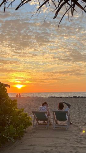 two people sitting in chairs on the beach at sunset at Elements Beach & Nature Resort in Kalpitiya