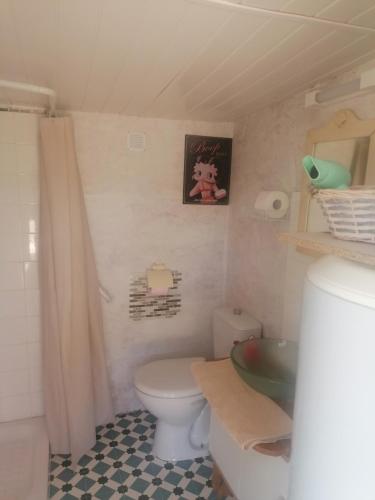 une petite salle de bain avec toilettes et lavabo dans l'établissement NUIT DANS LA PORTE DES ETOILES glamping en luberon, à Robion