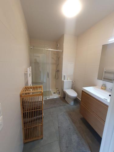 une salle de bain avec une douche, des toilettes et un lavabo dans l'établissement Villa ROSA seasonalflat Au RDC 80 rue Paul Vaillant Couturier Malakoff 92240, à Malakoff