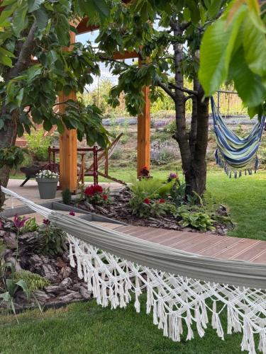 a hammock under a tree in a garden at Czereśniowe Wzgórze Sandomierz jakuzzi in Sandomierz
