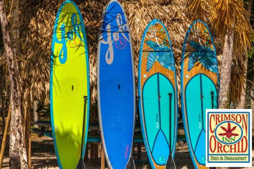 a group of surfboards lined up against a wall at The Crimson Orchid Inn at Orchid Bay in Corozal