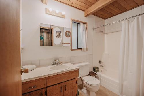 a bathroom with a sink and a toilet and a mirror at Mt Baker Rim Cabin 53 - Hot Tub - Wi-Fi - Bbq in Glacier