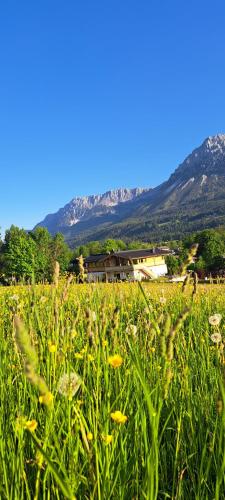 Paysage naturel près de la maison de vacances