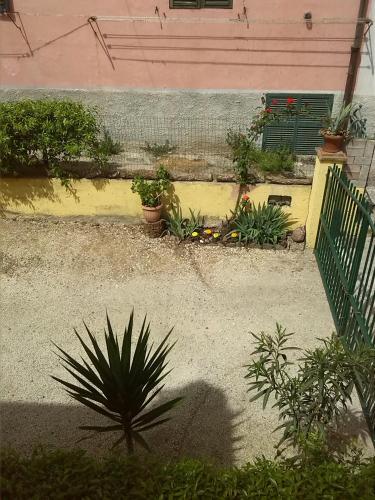 a garden with potted plants in front of a house at Appartamenti Claudia Rio in Rio Marina
