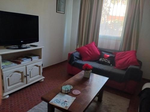 a living room with a couch and a tv at Appart Rez de Jardin Chez Anne in Vernet-les-Bains