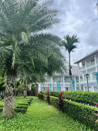 a row of palm trees in front of a building at Amanda Hotel阿曼达酒店 in Luang Prabang