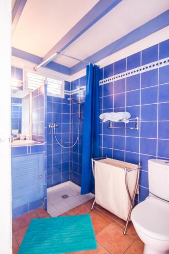 a blue tiled bathroom with a shower and a toilet at Bungalow Kanaribleu in Sainte-Anne