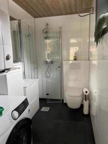 a white bathroom with a shower and a toilet at Flåm Minisuite in Aurland
