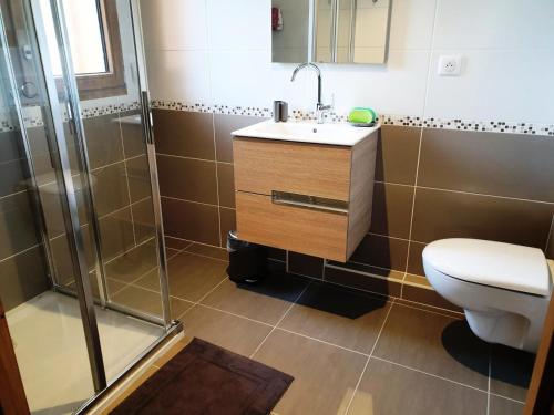une salle de bain avec toilettes, lavabo et douche dans l'établissement Résidence Appaloosa - Appartement cosy dans petite résidence MAE-3451, aux Gets