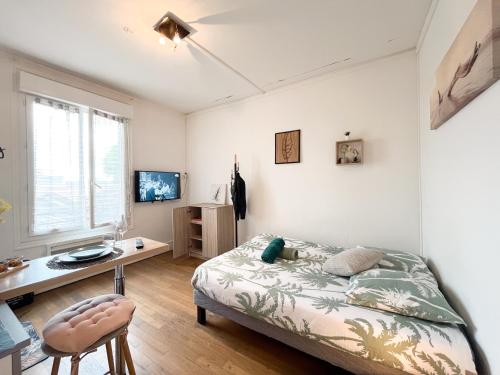 TV a/nebo společenská místnost v ubytování Balade à Montluçon