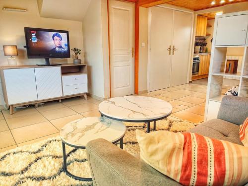 Μια τηλεόραση ή/και κέντρο ψυχαγωγίας στο Studio Cosy au Cœur des Alpes