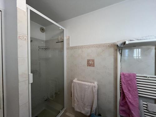 LE FIDJI, T2, 50m2, 4 personnes, proche de tout, c