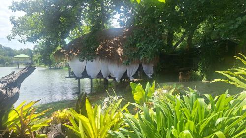 Afbeelding uit fotogalerij van บ้านกลางโดม Baan Klang Dome in Ban Huai Hai