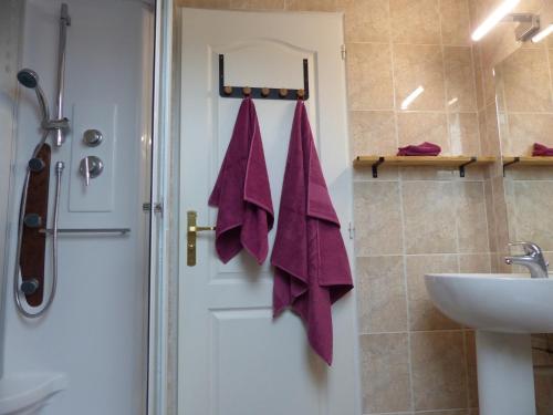 a bathroom with a sink and a door with towels at Maison de campagne in Touchay