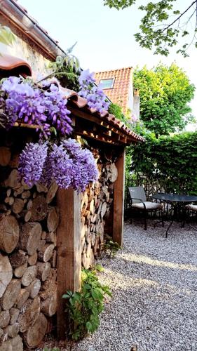 un bâtiment avec des fleurs violettes sur son côté dans l'établissement Chambre du Rouard LE RUISSEAU, à Camiers
