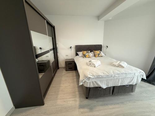 a bedroom with a bed and a large mirror at Evo apartments VRT No 1 in Şelimbăr