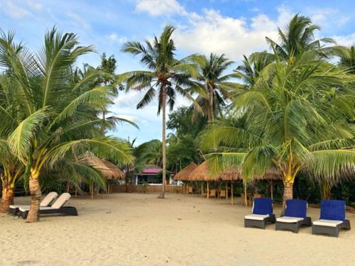 a beach with blue lounge chairs and palm trees at Vida Homes Sipalay in Sipalay