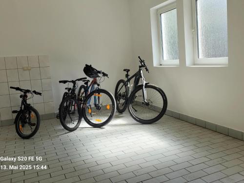 Berbasikal di atau sekitar Ferienwohnung Ortsmitte-Willingen