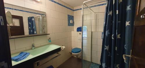 a bathroom with a tub and a toilet and a shower at Ferienwohnungen 3 Birken in Briesen