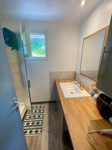 une salle de bain avec un lavabo et un miroir dans l'établissement Maison en Provence pour amoureux de la nature, à Saint-Geniez