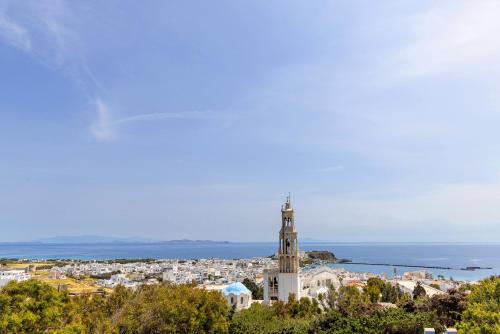 Epavlis Petrou Siwtou