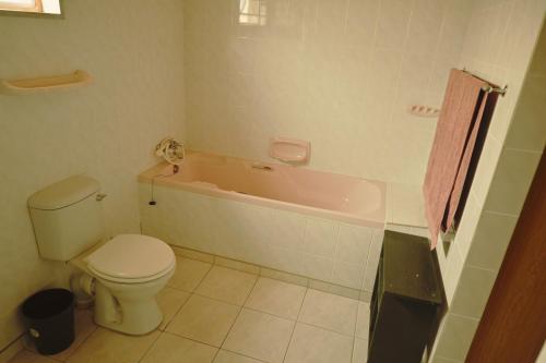 a bathroom with a toilet and a bath tub at 1801 on Brandberg in Hentiesbaai