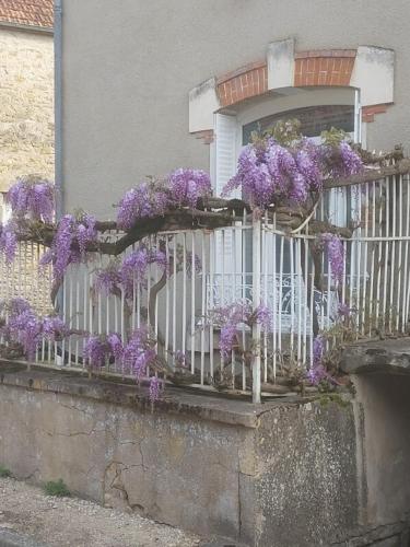 Photo de la galerie de l'établissement La glycine, à Flevieu