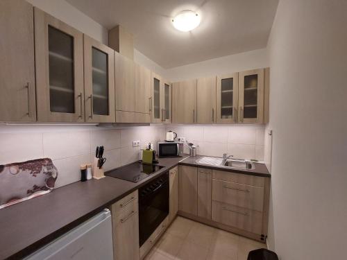 eine Küche mit Holzschränken und einer Spüle in der Unterkunft Lakeside Heritage Apartment in Balatonfüred