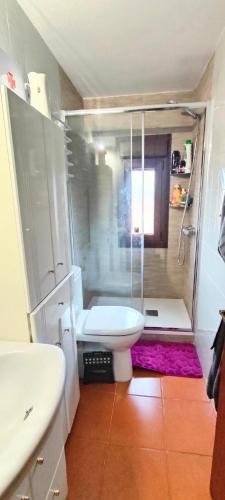 a bathroom with a shower with a toilet and a sink at El Rincón in Gallegos