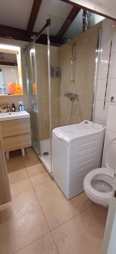 une salle de bain avec toilettes, douche et lavabo dans l'établissement Les 4 mousquetaires, à Méjannes-le-Clap