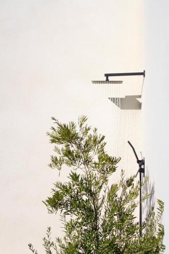 a basketball hoop in front of a tree at The Milky Way Cabin in Twentynine Palms