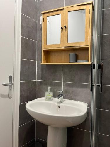 a bathroom with a sink and a shower at Le voyageur - Appartement Hyper Centre in Cambrai