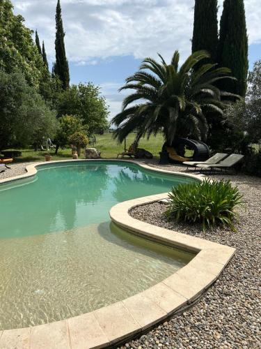 une piscine dans un jardin avec un palmier dans l'établissement Domaine de la Grande Grange, à Caderousse