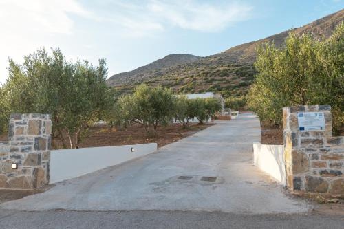 a road with trees and mountains in the background at Chryselia Suites- Private Pool in Keratokampos