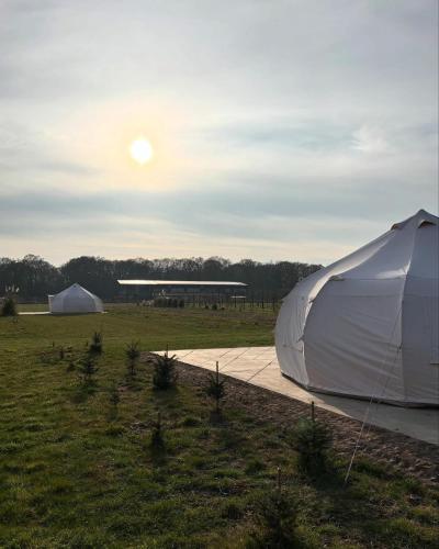 two tents in a field with the sun in the sky at Orchard Retreats Glamping At Black Barn Farm Norfolk in Salhouse