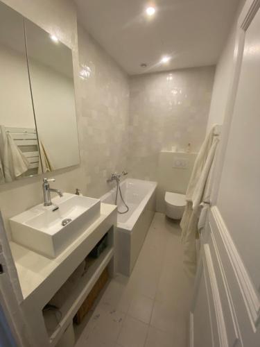 une salle de bain avec un lavabo, des toilettes et un miroir dans l'établissement Lisa Appartement de charme, à Cannes