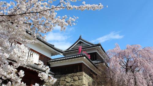 a building withakura trees in front of it at Toyoko Inn Ueda Ekimae in Ueda