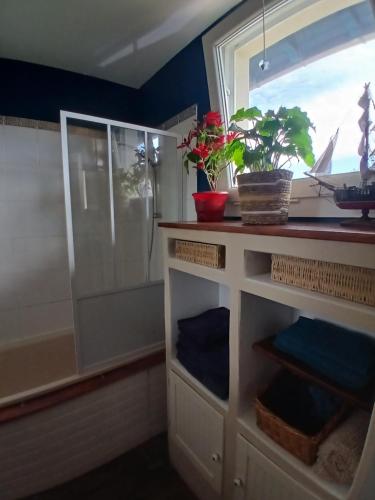 a bathroom with a shower with a window and a cabinet at Chez Solange et Paul in Mézos