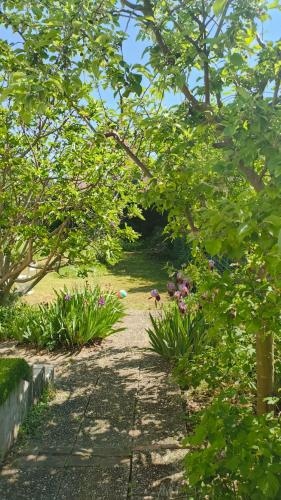 Maison Strasbourg 7 chambres