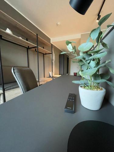 a plant sitting on a table with a remote control at Exklusives Wohnen im historischen Wasserturm dem Highlight von Delitzsch WE 211 in Delitzsch