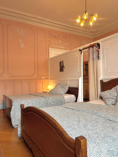 une chambre avec deux lits et un lustre dans l'établissement appartement plein centre, 42m au calme avec balcon et wifi, à Aix-les-Bains