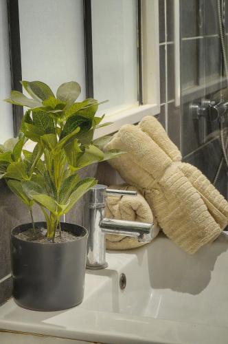 une personne portant des gants jaunes est sur un évier avec une plante dans l'établissement Le Jo - Centre - Terrasse - Verrière Côte d'Azur, à Cannes