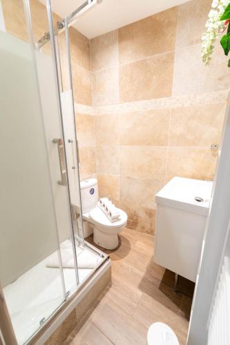 une salle de bain avec toilettes et douche en verre dans l'établissement Bel appartement en plein cœur de la vieille ville, à Nice