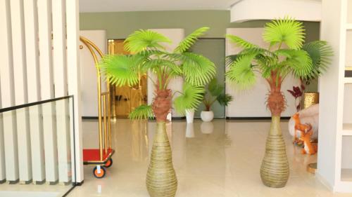 three palm trees in vases in a room at Ailana Hotel in Aqaba
