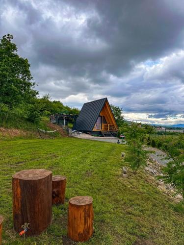 a log cabin in a field with three tree stumps at A FRAME 1 TRANSALPINA in Petreşti
